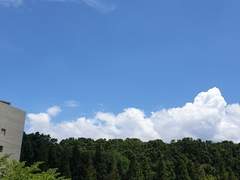 64. 고민은 사치다. 둘이나 셋 중에 하나는 정답이 되곤 한다.