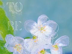 [와타에이] NOT TO BE