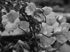 그리움은 몇번을 겪어도 끝나지 않는다.