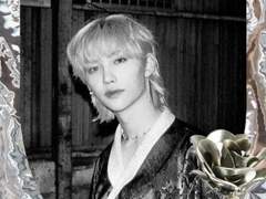 엔젤 메탈 프레임