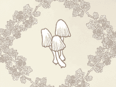 찔레 잡화점: 독버섯과 먹는 버섯