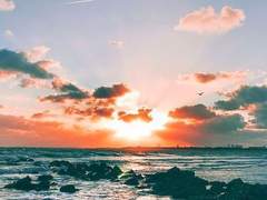 발송지, 여름바다