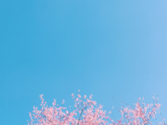 [MV] 우리는 파랑 1