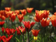 당신도 이런 기분이었나요?