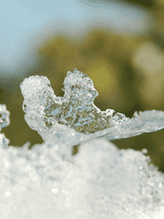 설화지향 - 눈꽃의 향