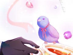 1월 디페스타 선입금페이지