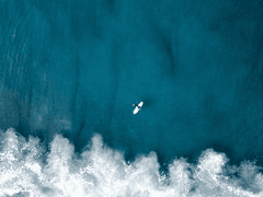 바다가 사랑한 소년