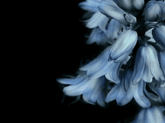 아그네스 발렌타인, 10살의 기억