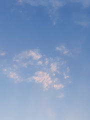 그냥 이런저런 이야기