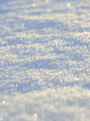 눈이 녹으면 눈물이 된다