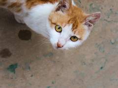 2018년 5월 5일의 기록