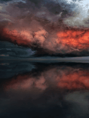 사랑해! 죽어줘!