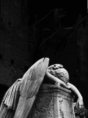 신이 죽은 자리에