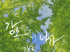 강호에서 나가 강호로 가자