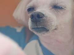 본즈술루 서커스4