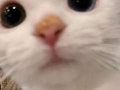 [이민형] 출신은 스트릿 0