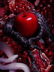 릴리 에스메랄다