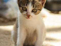 2018년 7월 7일의 기록