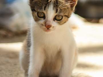 2018년 7월 7일의 기록