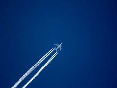 아차 겁이 났었어 날아오르는 게