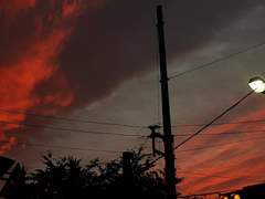 하늘이 날 삼켰어.