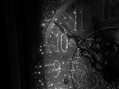 당신이 떠난 사이에