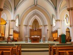 [세포신곡] 단문