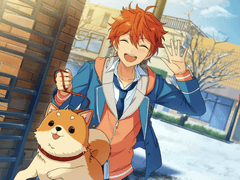 다이카구라! 축하의 뉴 이어 라이브