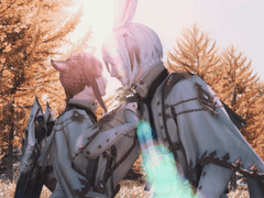 시간대별 레스티아 어쩌고