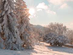 겨울 산은 어렵다.