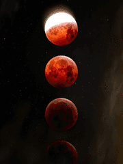 夢遺忘的路_몽경망각도