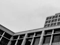 날개 없는 새장