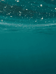 다이브 투 블루