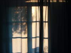 개와 늑대의 시간0