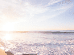 우리 집에 최고오급 홍차 있는데, 마시러 갈래요?