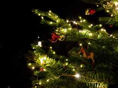 [새리] 미리 메리 크리스마스