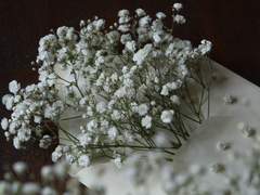 내게 마지막 기회가 있다면