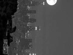 기울어진 세계에서