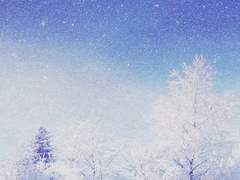 조금씩 빛나는 달에게