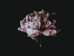 31화: Episode 08. 오래된 비밀 (2)