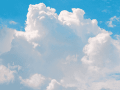 8주년 시나리오에 대한 쓴 소리