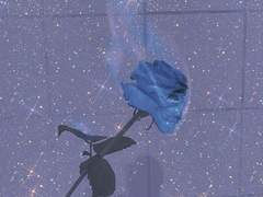 會流하는 감정을 따라 너의 주위를 回流하다.