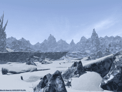 blue flores in nivis(눈 속의 푸른 꽃)