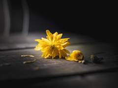 [흡툭죽/칸나기] Exile Vilify