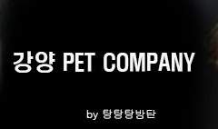 강양 PET COMPANY - 3