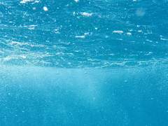 물결 글 커미션