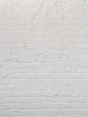 하이큐 상황문답