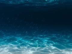 바다보다 푸른,