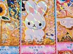 프리채널 파샷토