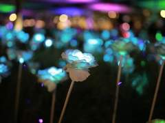 🐈 헐, 놀이공원이야! 즐기자!